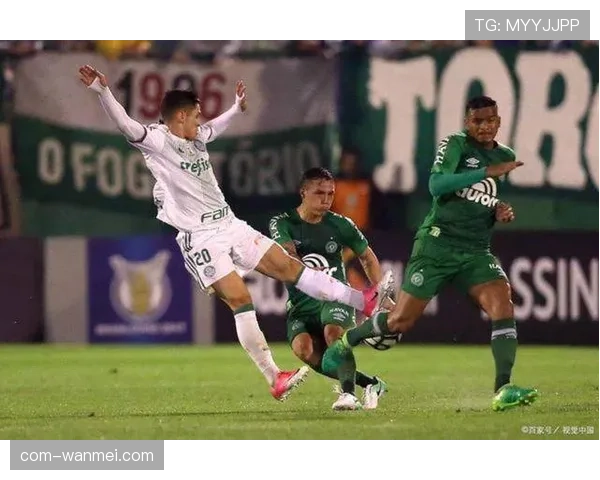 解放者杯赛场再现巴西内战，帕尔梅拉斯创下新高