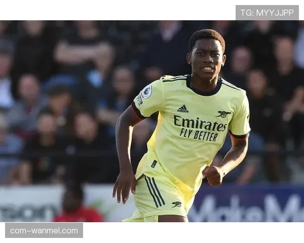 乔林顿随队出征状态存疑 纽卡中场轮换方案待定